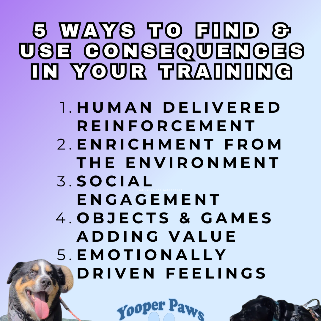 Controlling Consequences Workshop thumbnail