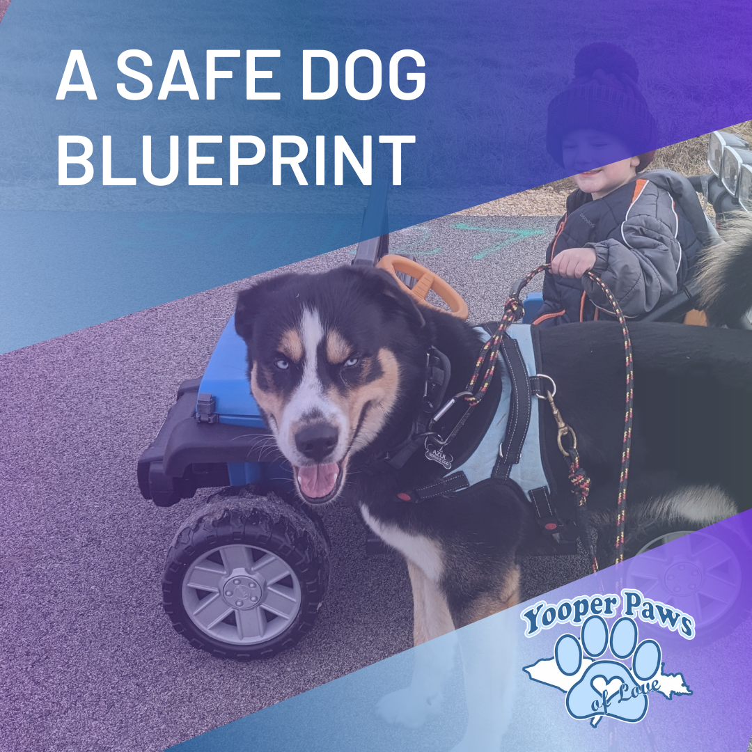 A SAFE Bluepring thumbnail