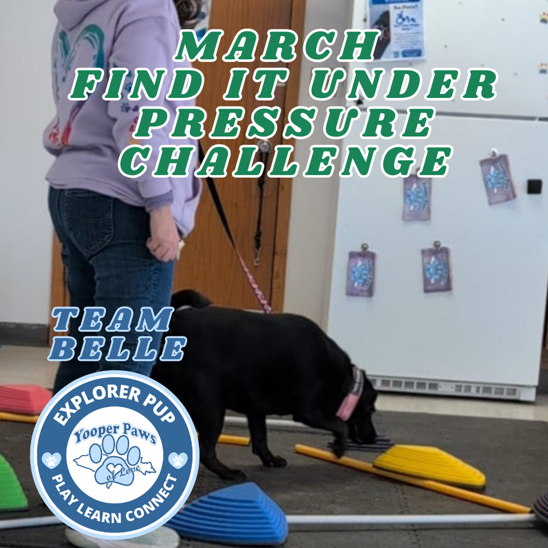 Play, Learn, Connect Challenge  thumbnail