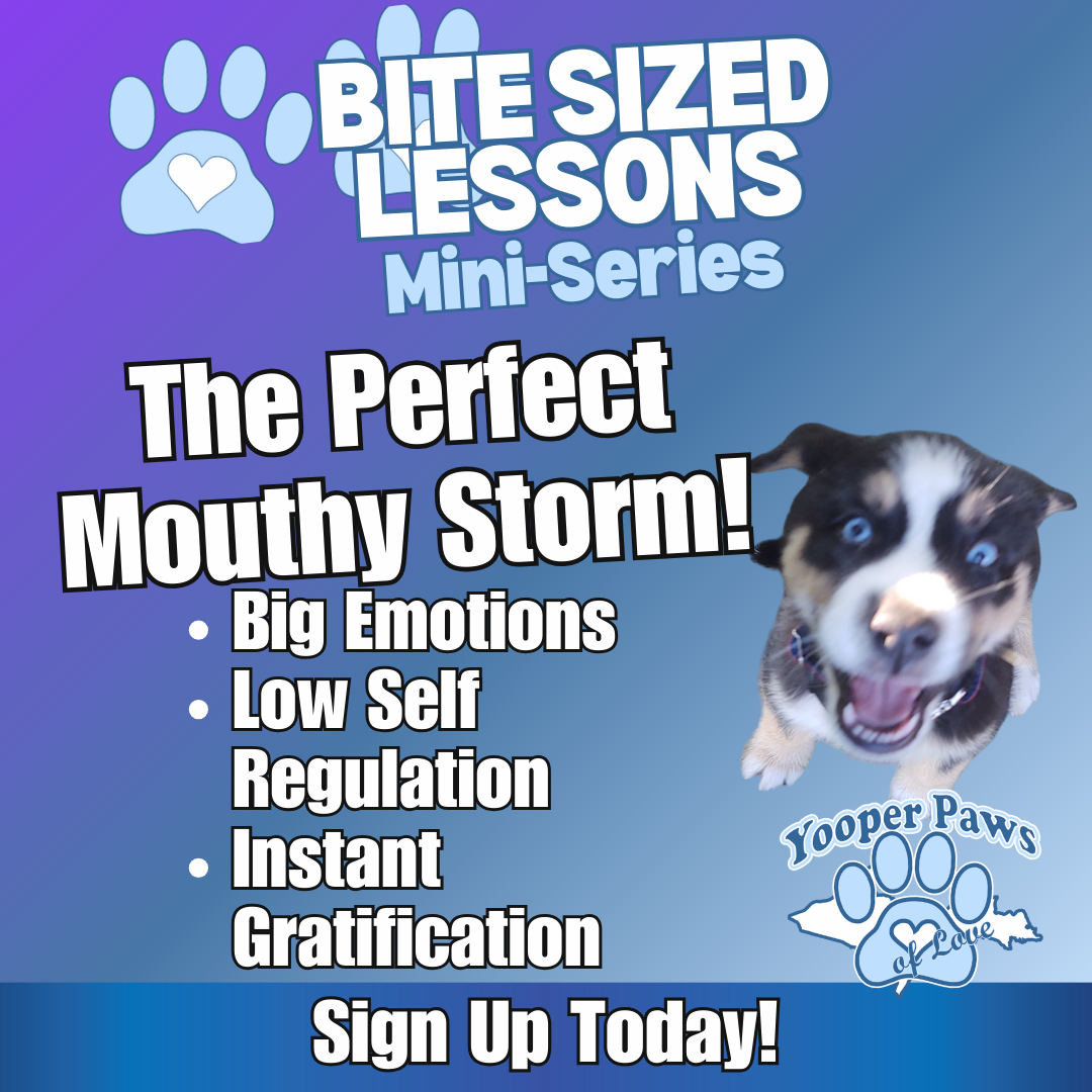 Bite-Sized Lessons thumbnail
