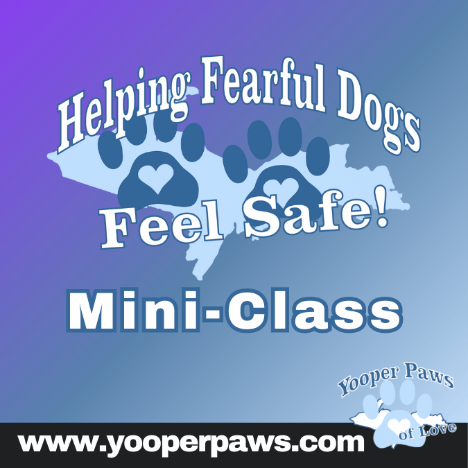 Helping Fearful Dogs Mini-Class thumbnail