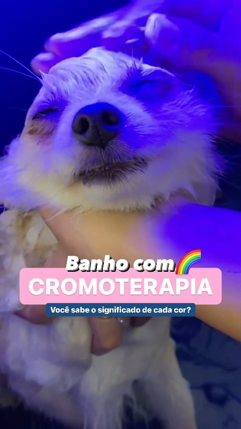 Cada cor tem a sua função 🌈

A cromoterapia utiliza diferentes cores para equilibrar energias e promover bem-estar físic