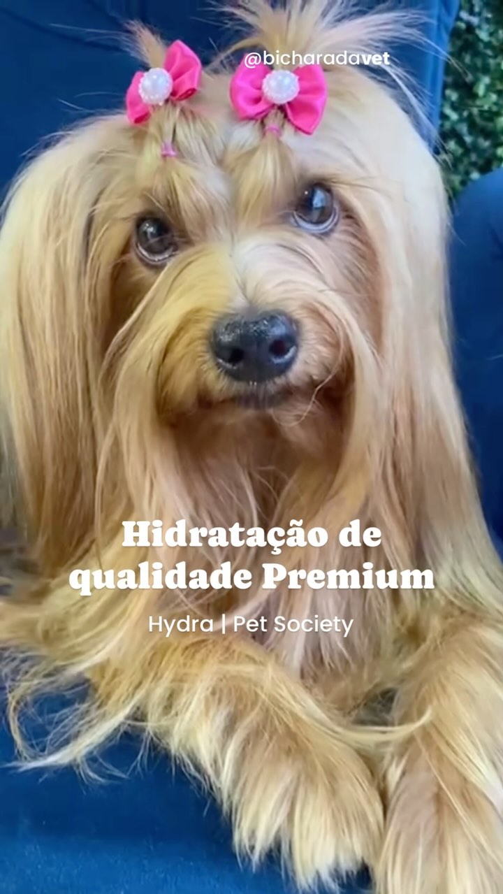 Aquela hidratação premium que amamos 😍