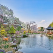 Seoul: Nami Island and Garden of Morning Calm opt Railbike | GetYourGuide thumbnail