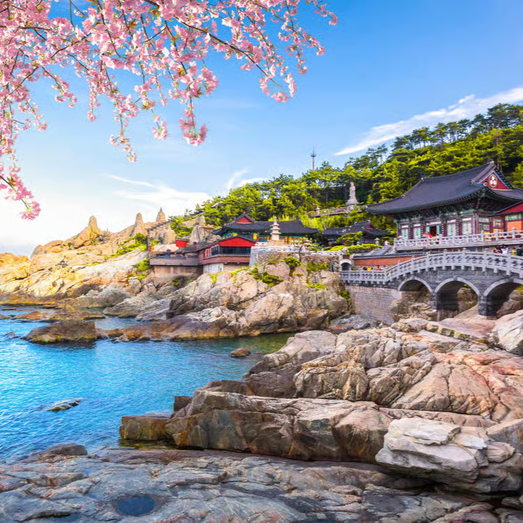 Busan: Top Attractions Authentic One-Day Guided Tour thumbnail