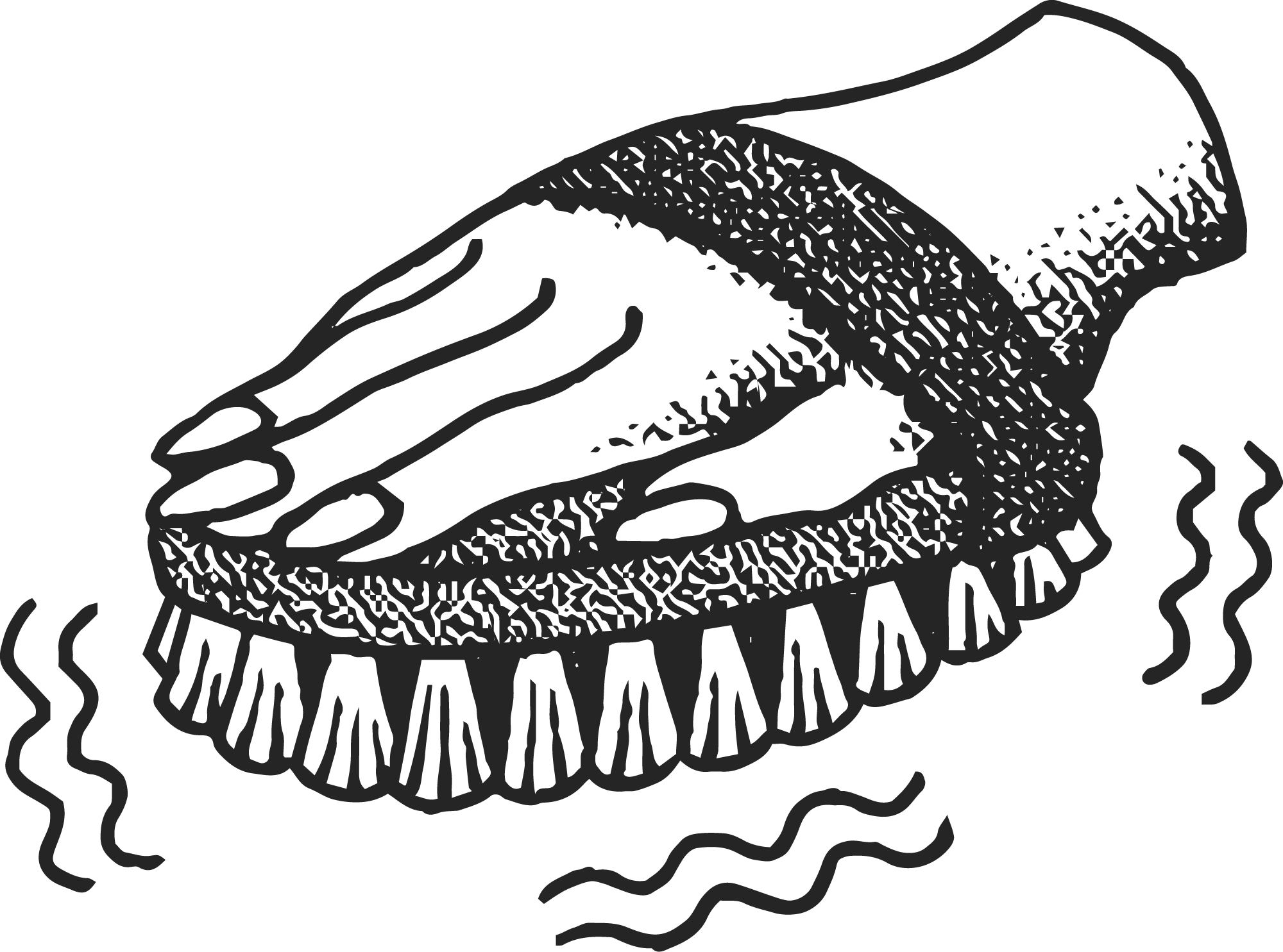 AMAZON STOREFRONT thumbnail