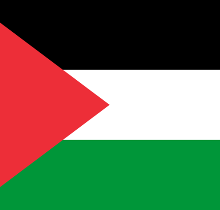 The Sameer Project | Palestinian-led aid organization thumbnail