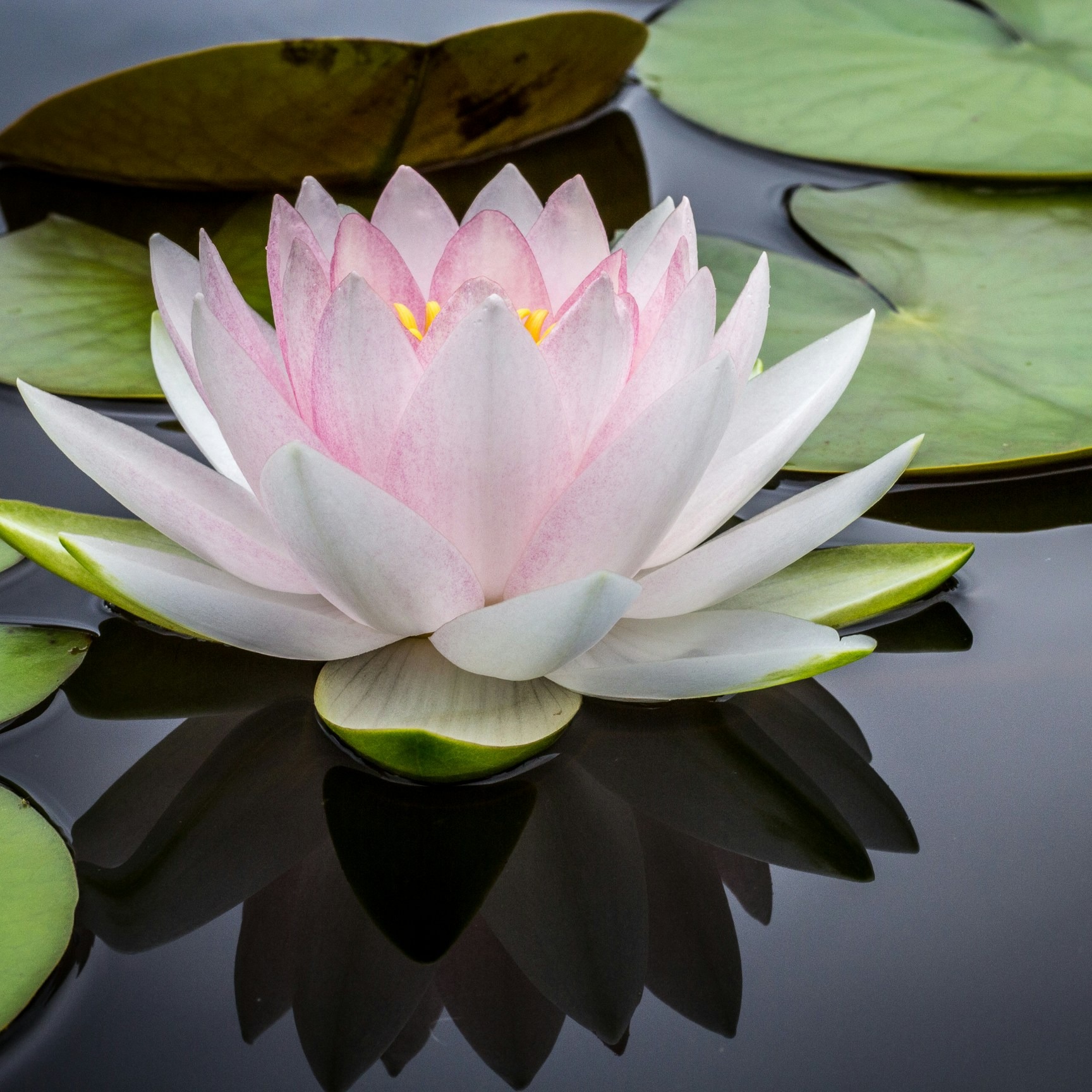 FREE Inner Authority Intensive Masterclass  thumbnail