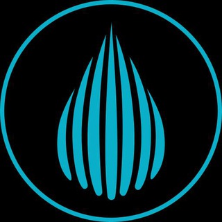 Entry into the TonDeluge global structure β π thumbnail