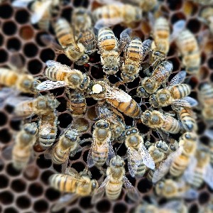 Lettori e Scrittori thumbnail