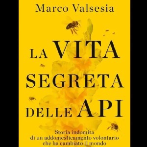 La vita segreta delle api  thumbnail