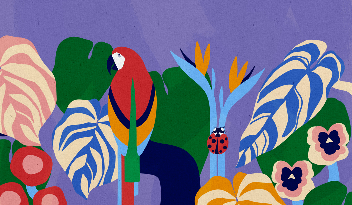 Disegnini - Sofia Daskalaki thumbnail