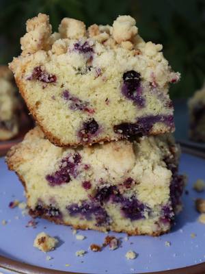 Blueberry Coffee Cake Recipe with a Crumb Topping 🫐 What’s your favorite blueberry dessert? All recipes found at www.ame