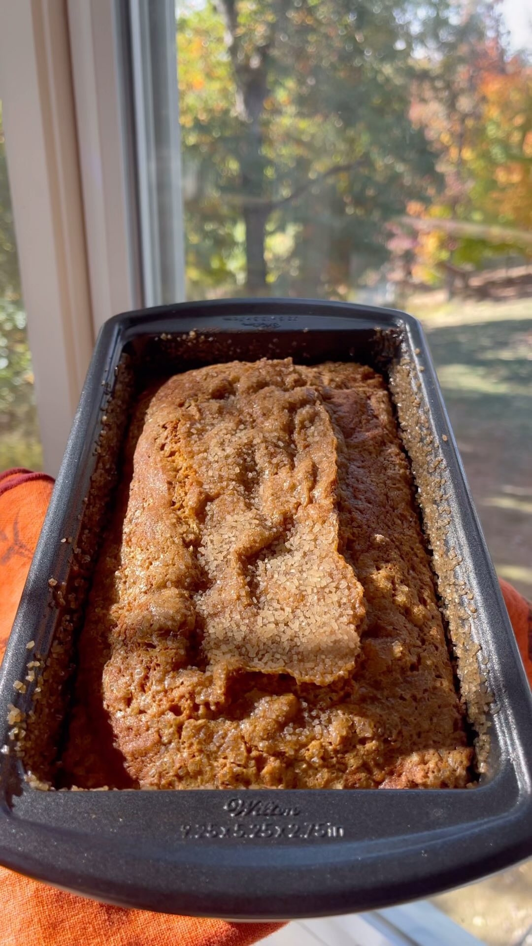 Pumpkin Bread Recipe 🎃🍁

What is your favorite pumpkin-flavored food?

Printable recipe link in bio
All recipes on www.a