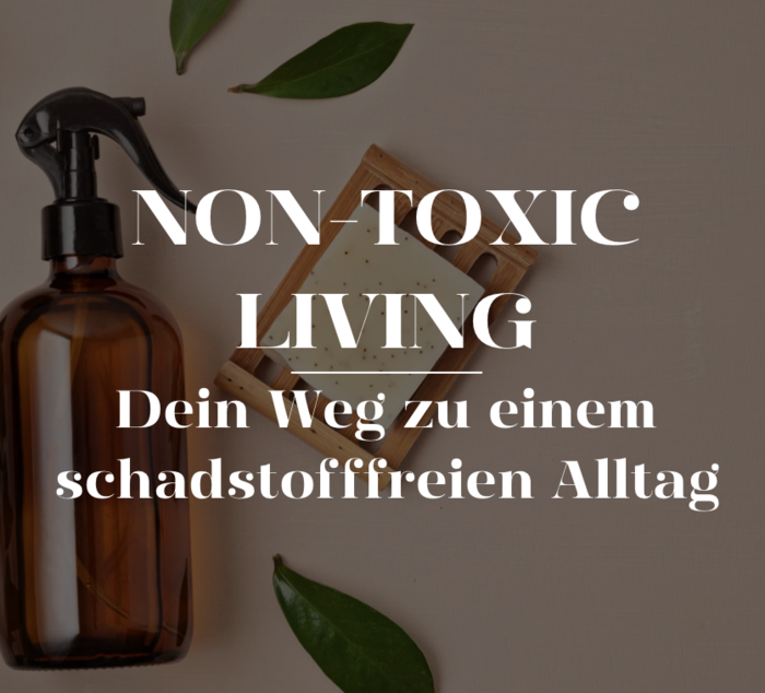  Non Toxic | E-Book thumbnail