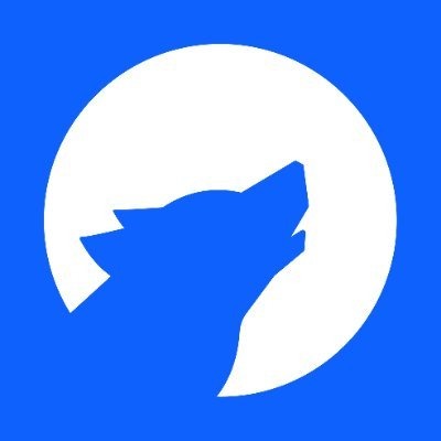 X - WOLF Financial thumbnail