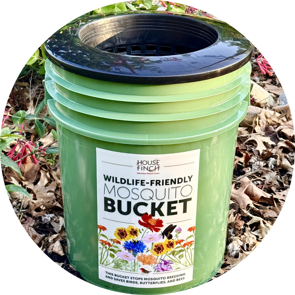 Mosquito Bucket Instructions / Purchase thumbnail