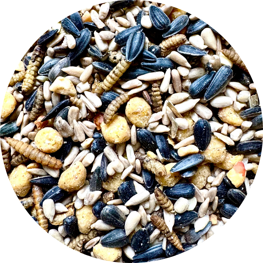 Nesting Season Blend thumbnail