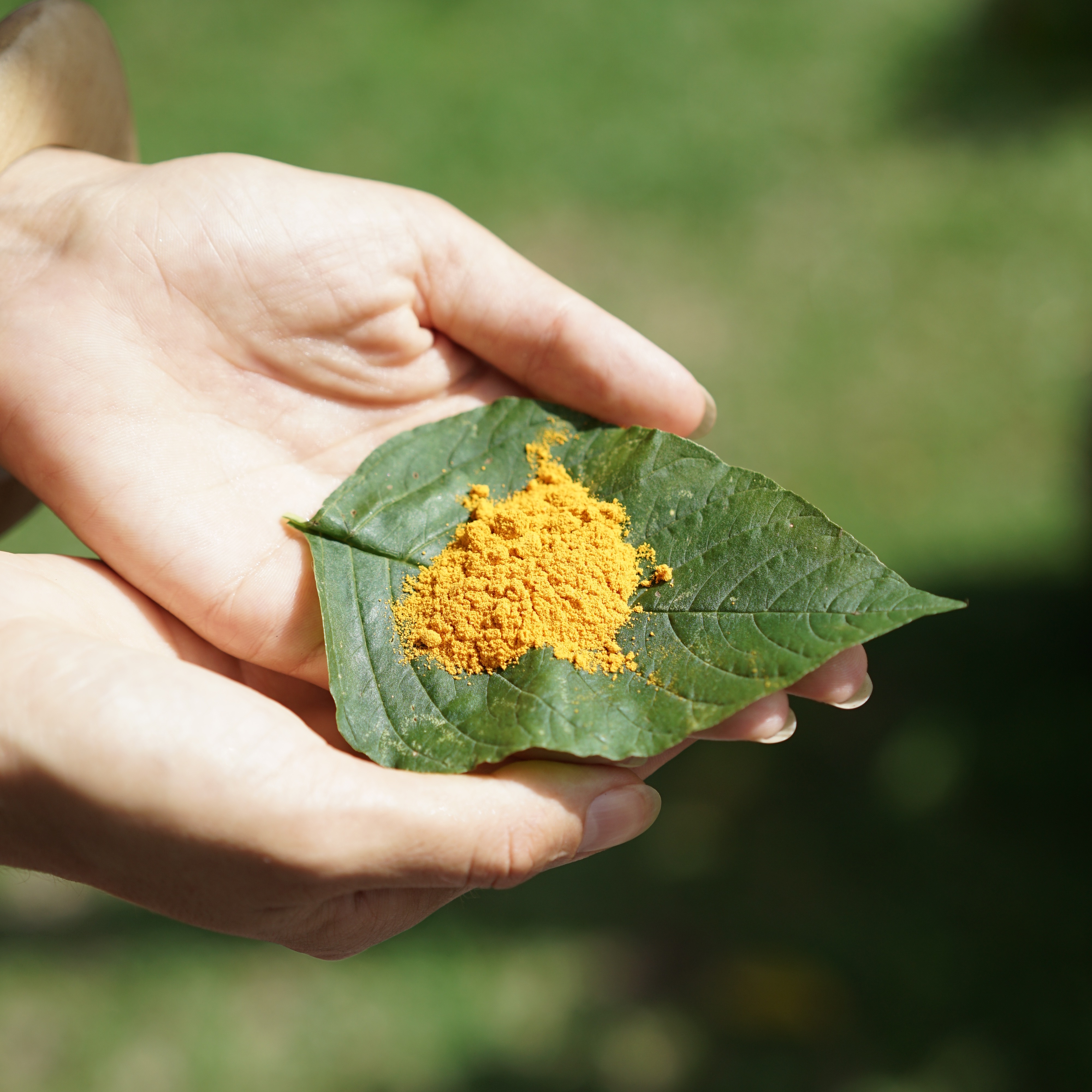 What's your dosha? Free Guide  thumbnail