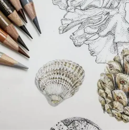 WORKSHOP - Botanical Illustration, Come and join a hands-on workshop taught by local artist and illustrator Vicky Hallam. Saturday, Apr 25 from 1:30 - 4:30 pm thumbnail