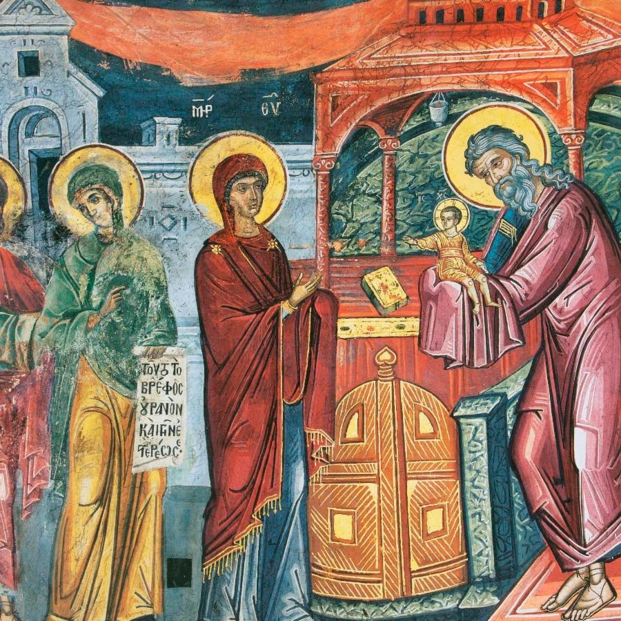 Weekly Update! 2/2 thumbnail