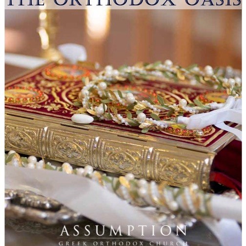 Oasis Newsletter thumbnail