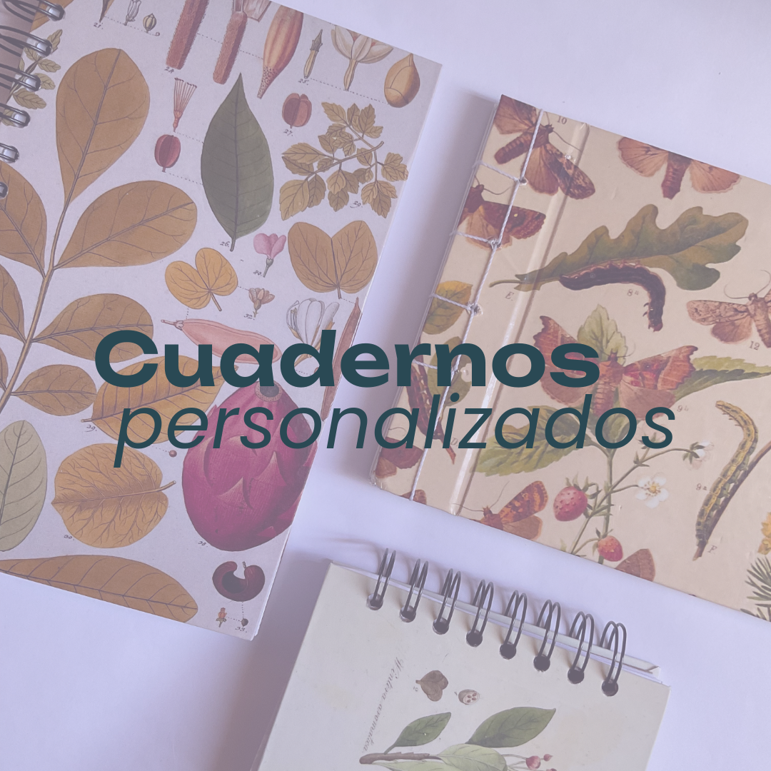 Blog | Carolette thumbnail
