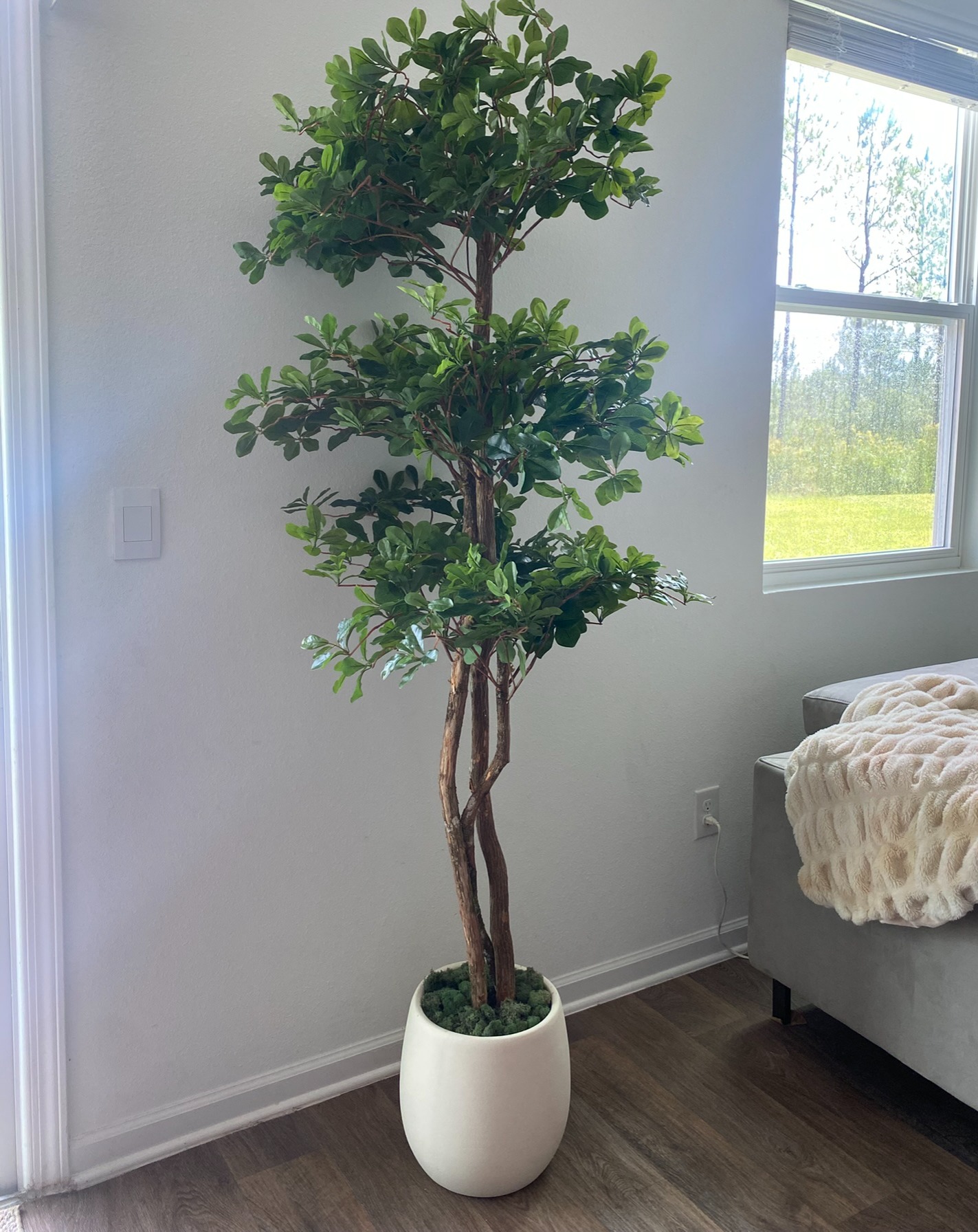 Tree thumbnail