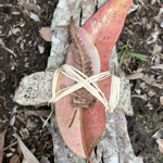 Art Therapy thumbnail