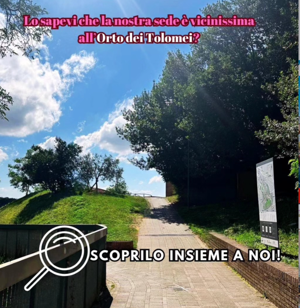 Sede Avis Comunale Siena thumbnail