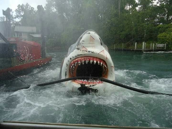 The Amity Inversion — Jaws at Universal thumbnail