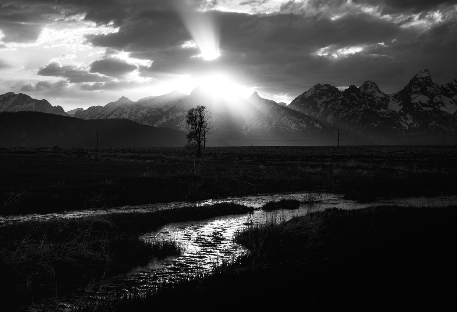 *THE GRAND LIGHT* LIMITED EDITION Print — Dave Herring thumbnail