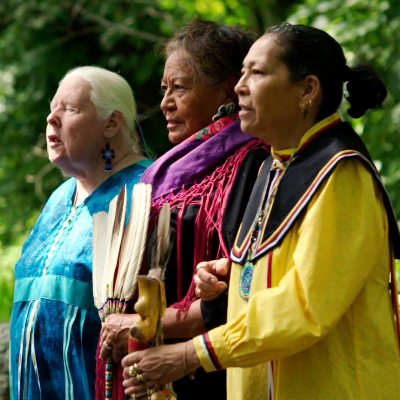 Next Class: May 21st | Wisdom of the First Nations  thumbnail