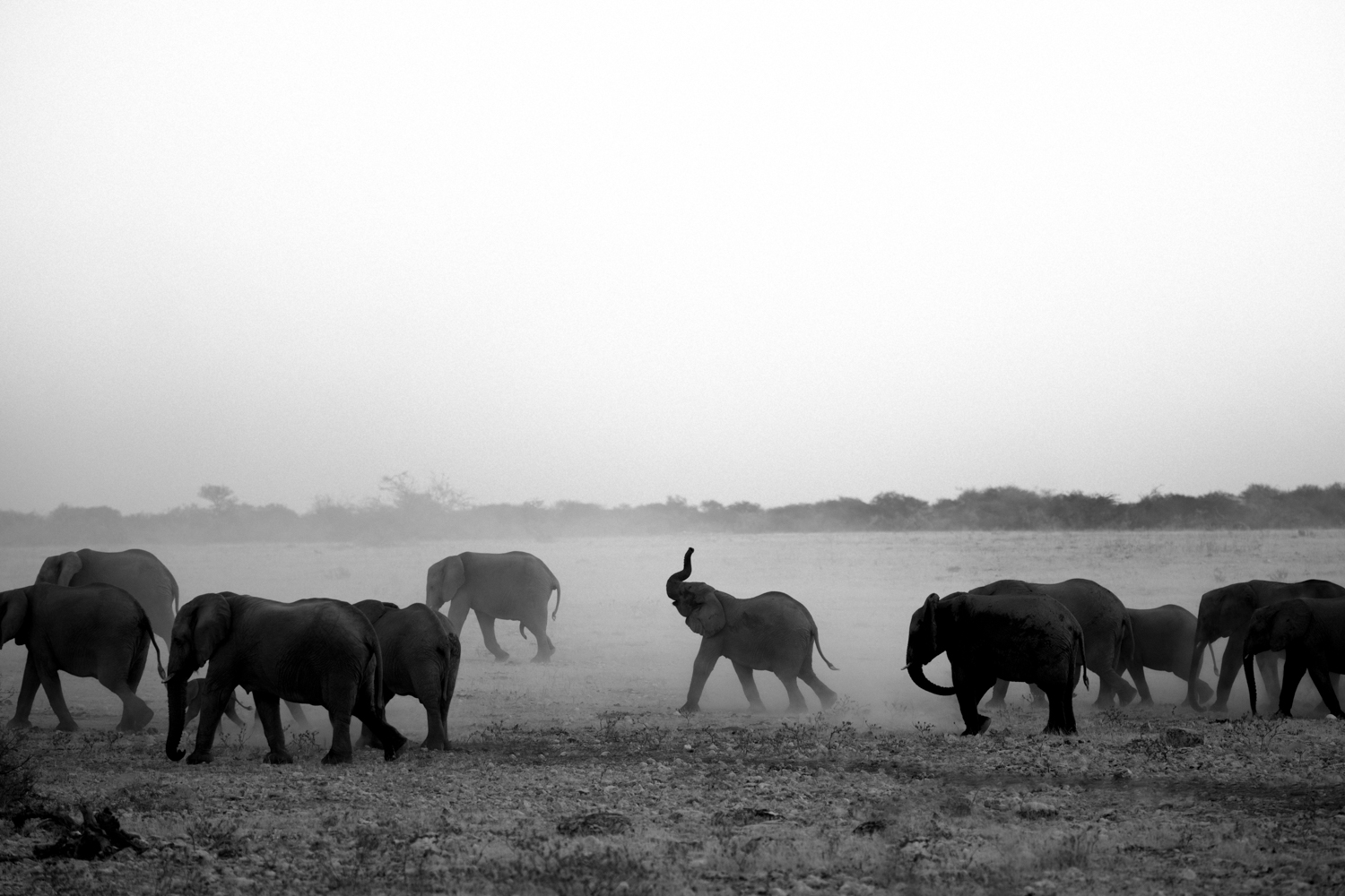 work with me thumbnail