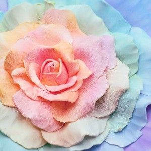 Wall Flowers thumbnail