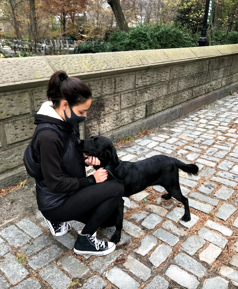 Muddy Paws Rescue opinion on how to handle your dog seeing NYC for the first time thumbnail