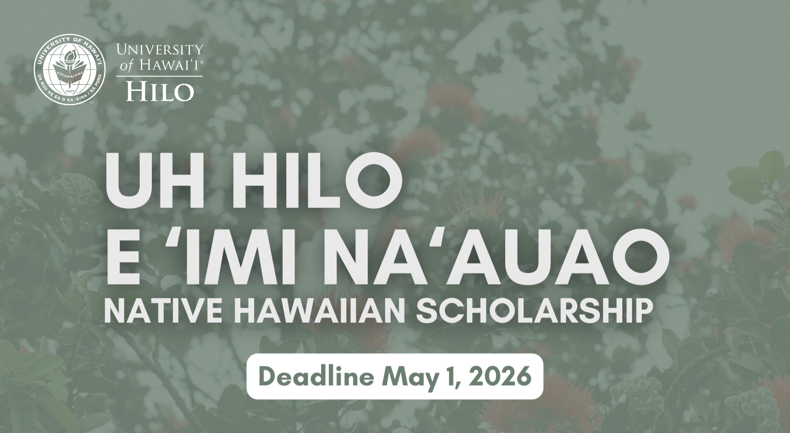UH Hilo E ʻImi Naʻauao Native Hawaiian Scholarship thumbnail