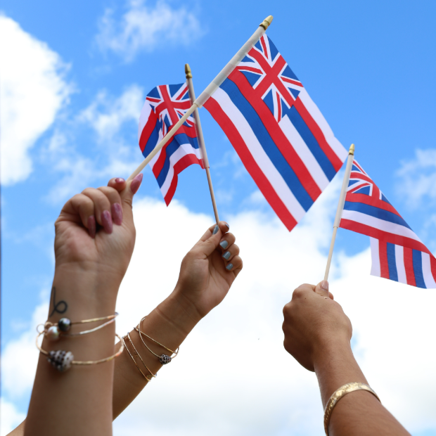 💌  November 2025 Newsletter thumbnail