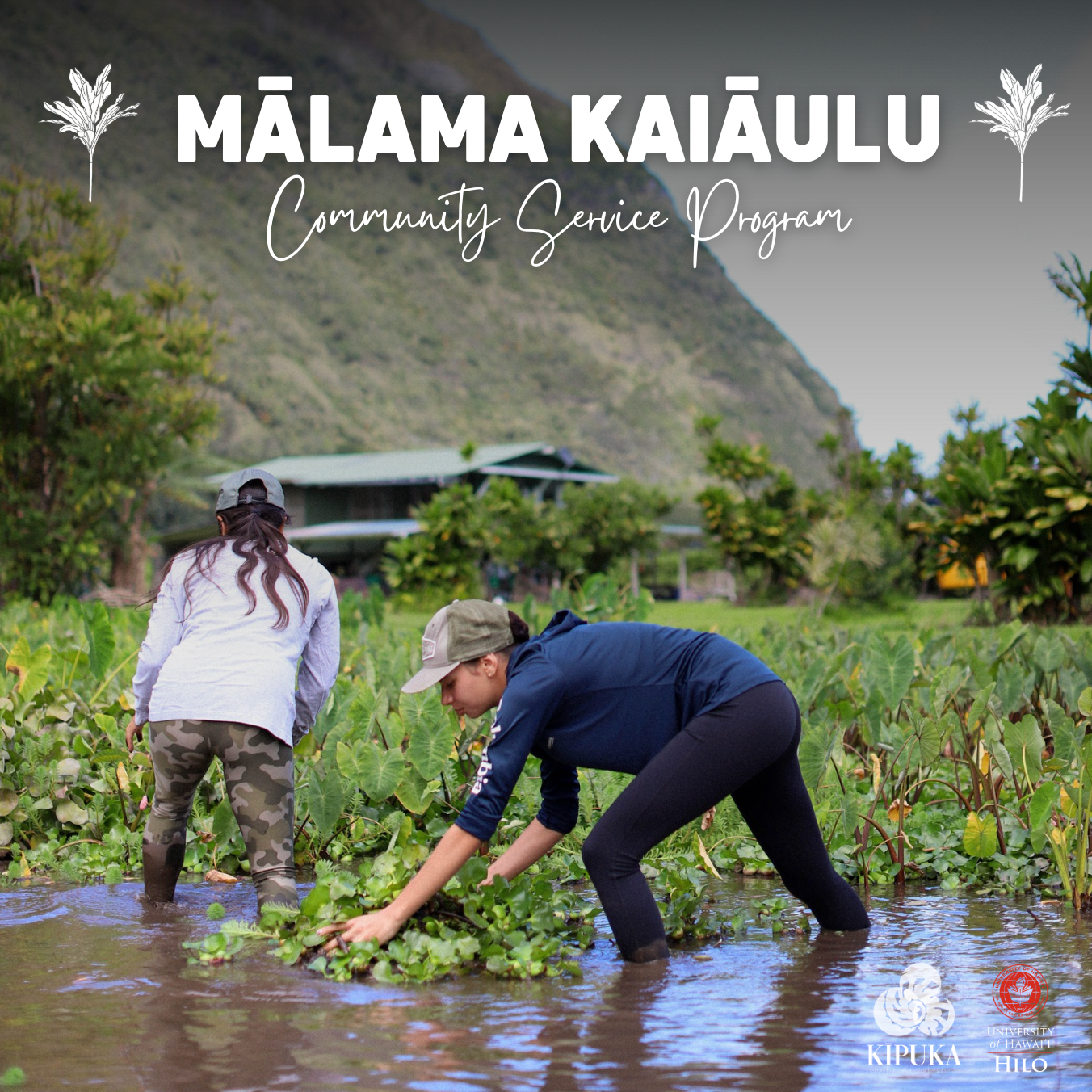 Mālama Kaiāulu Community Service Registration thumbnail