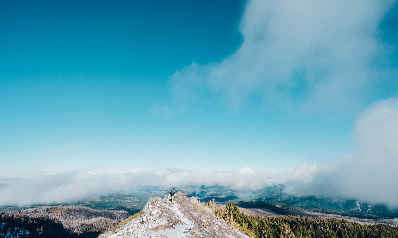 changehealthcarescomco's Ownd thumbnail