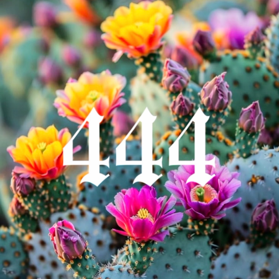 444 Curated Run Playlists thumbnail