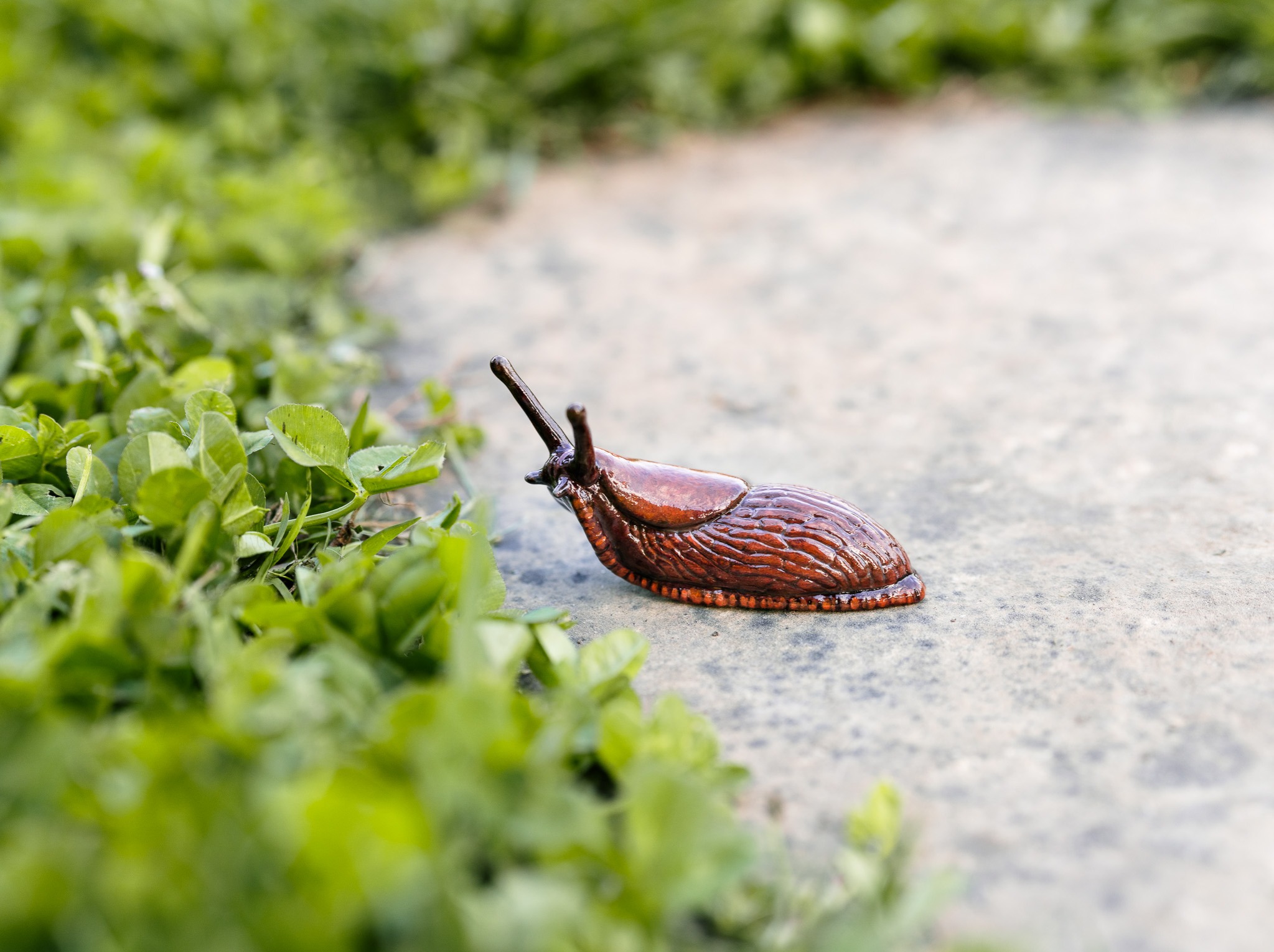 European Red Slug Sculpture thumbnail