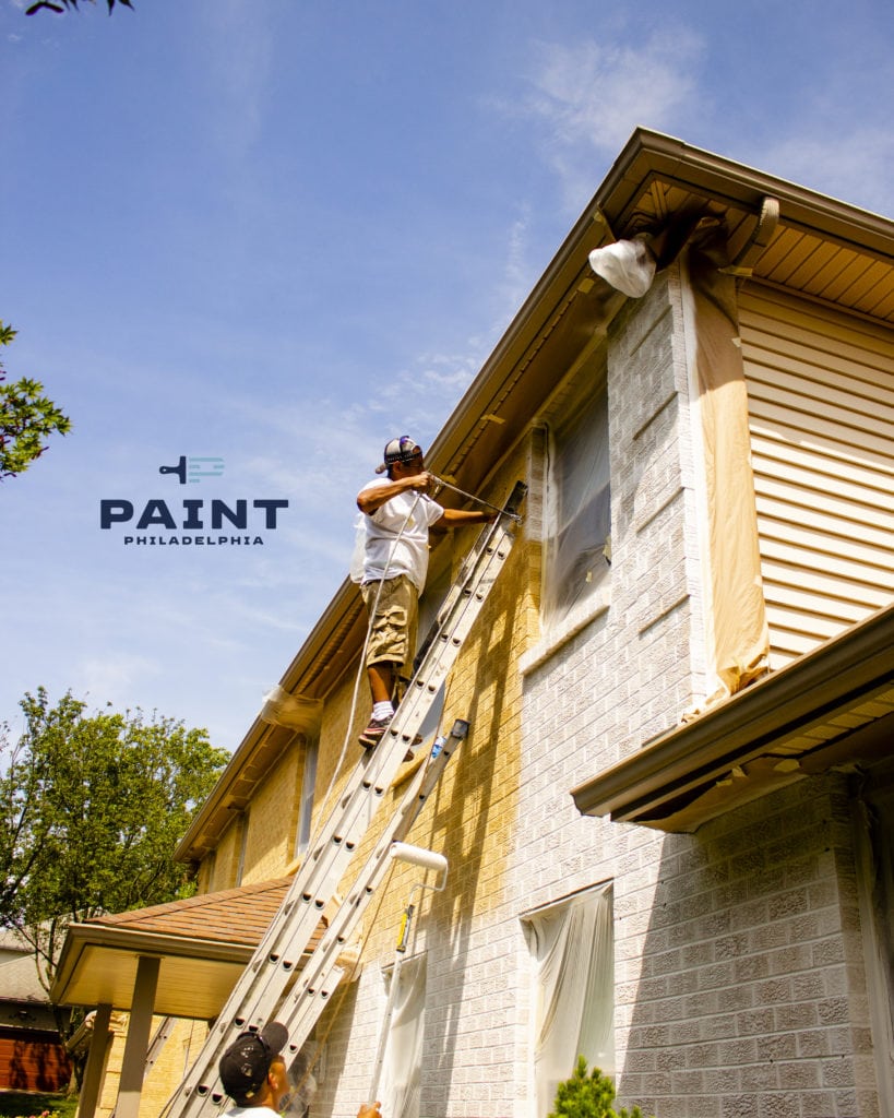 PAINT Main Line thumbnail
