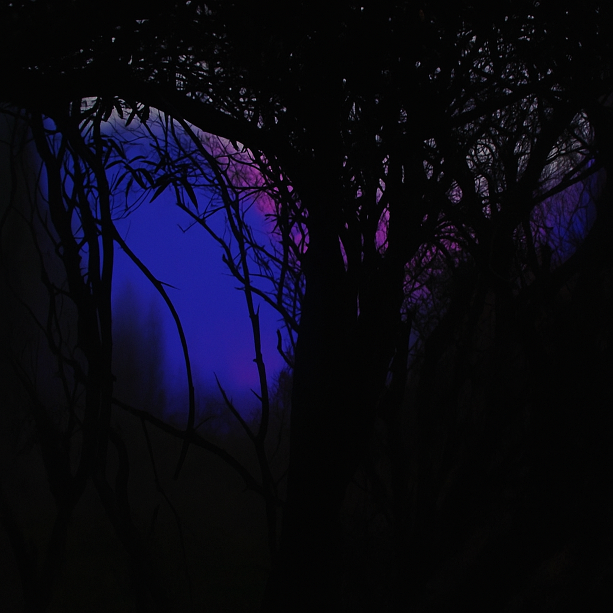 Alone - Single (2022) thumbnail