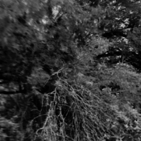 TRAP by Mike Quintor on Apple Music thumbnail