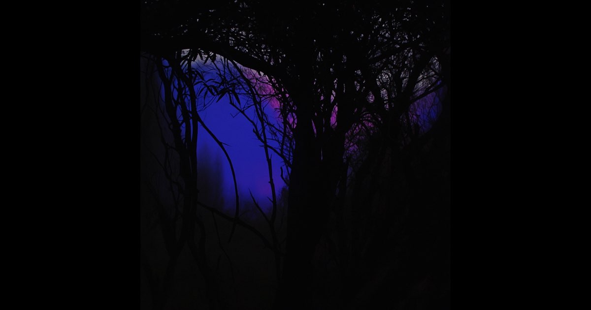 Alone - Single (2022) thumbnail