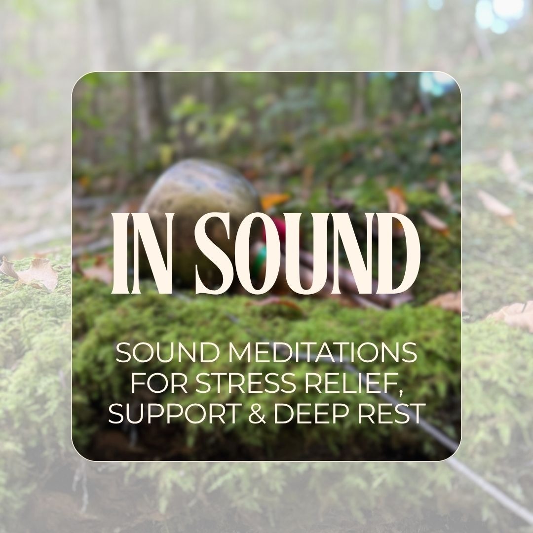 InSound: A Steady Place to Return, Again and Again thumbnail