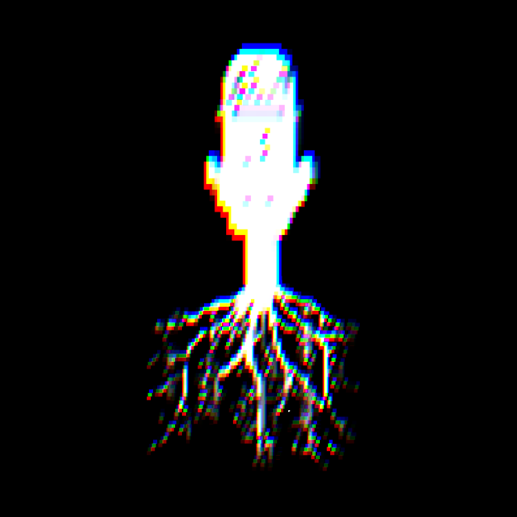Shoot a Raw Roots performance thumbnail