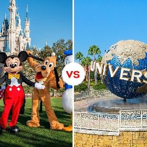 Cotización a Disney y Universal (Orlando Florida) thumbnail