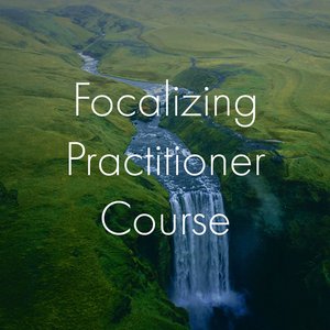 Early Bird Special Open: Focalizing Practitioner Course thumbnail